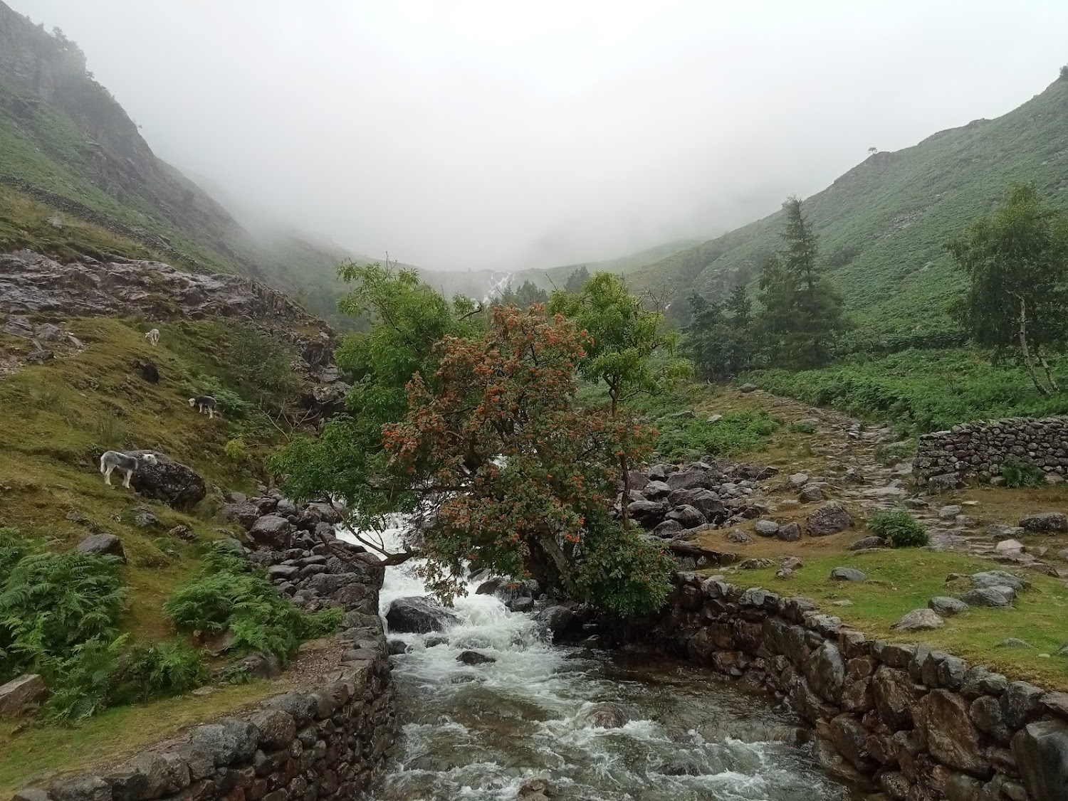 /england/langdales/map4nomads-langdales.jpg