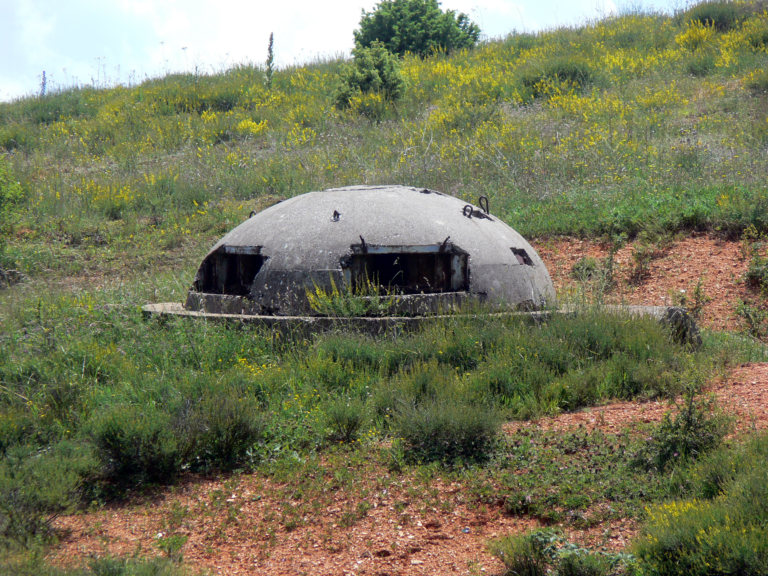 Shkodër