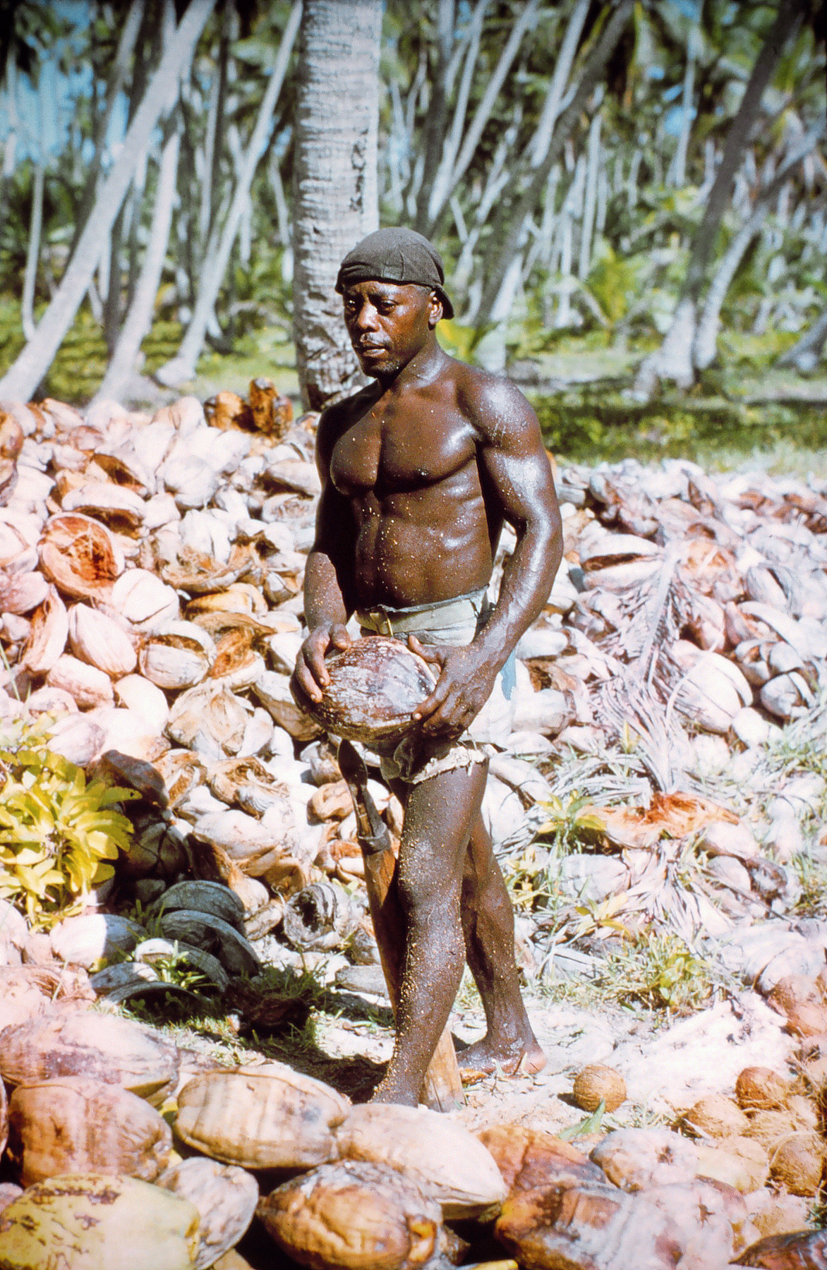 British Indian Ocean Territory