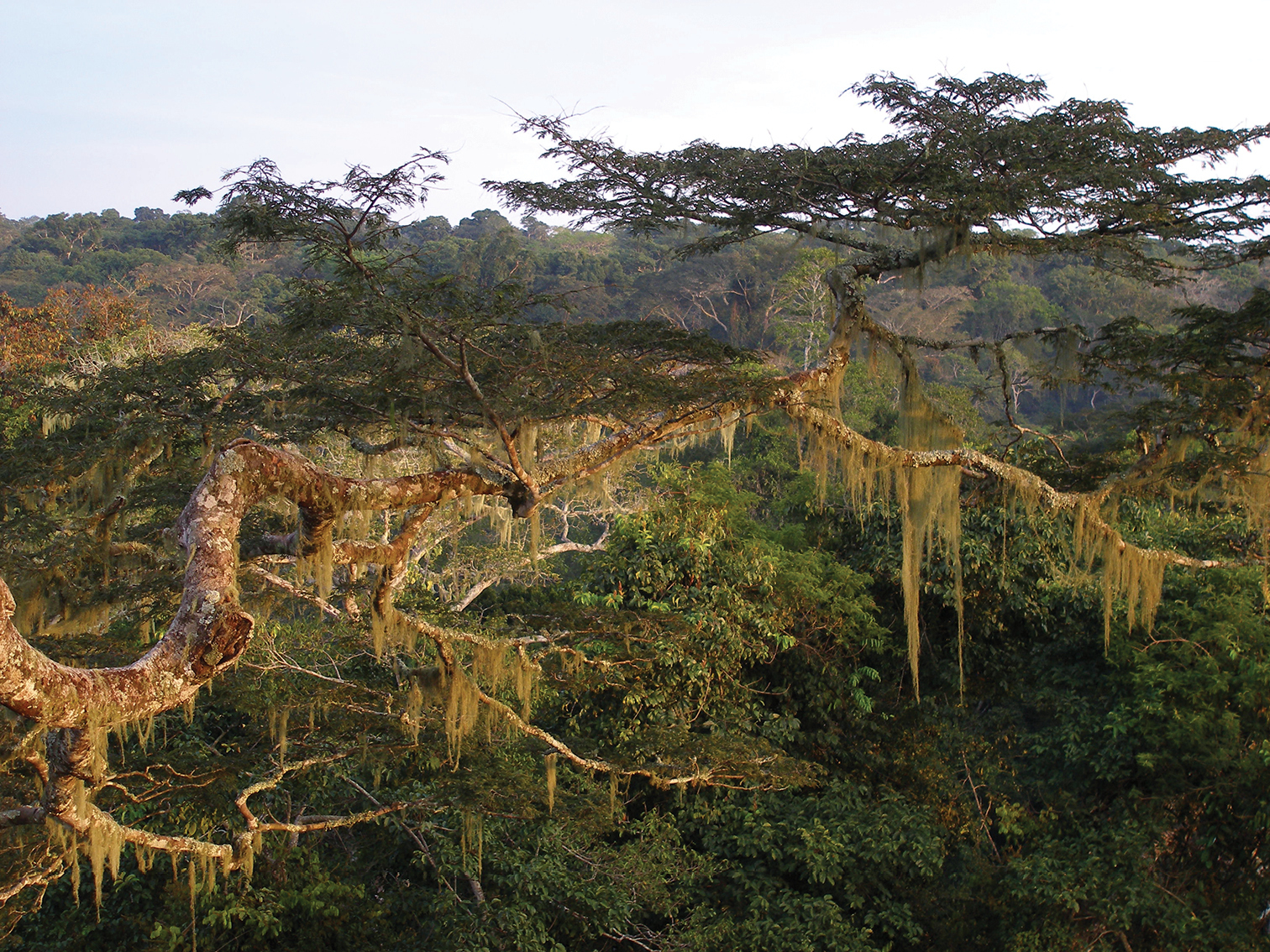 Bamingui-Bangoran Prefecture