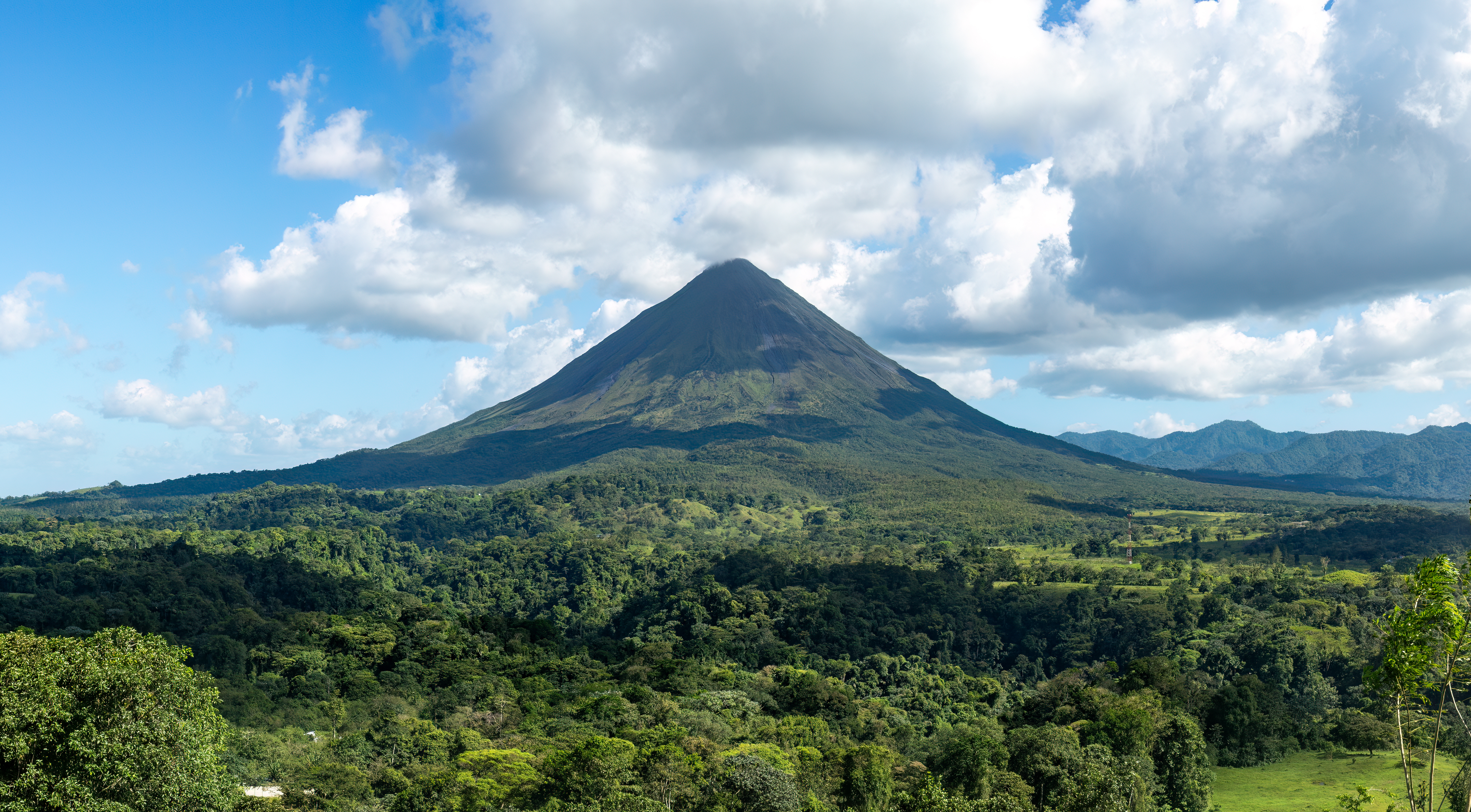 Limón
