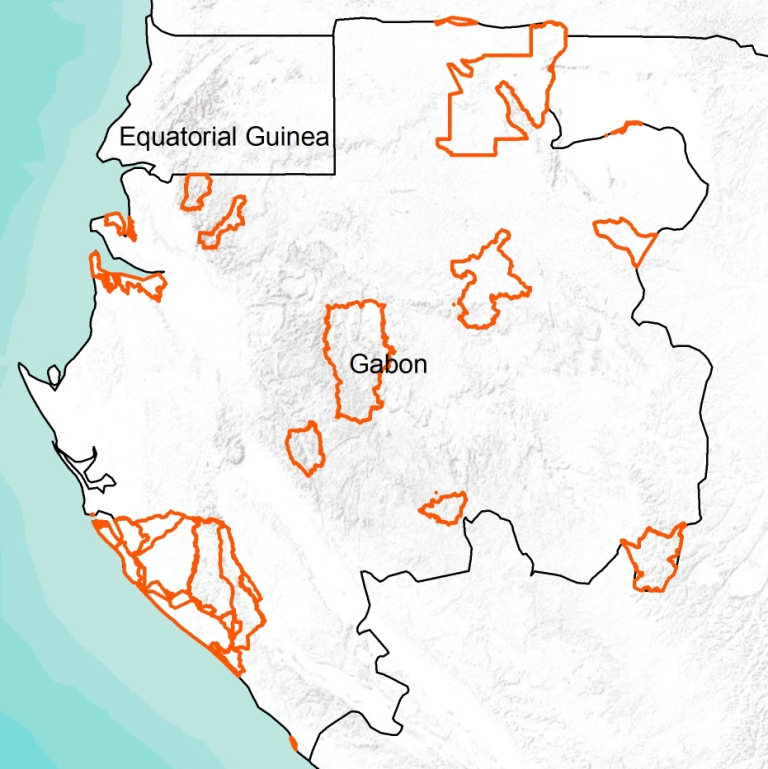 Estuaire