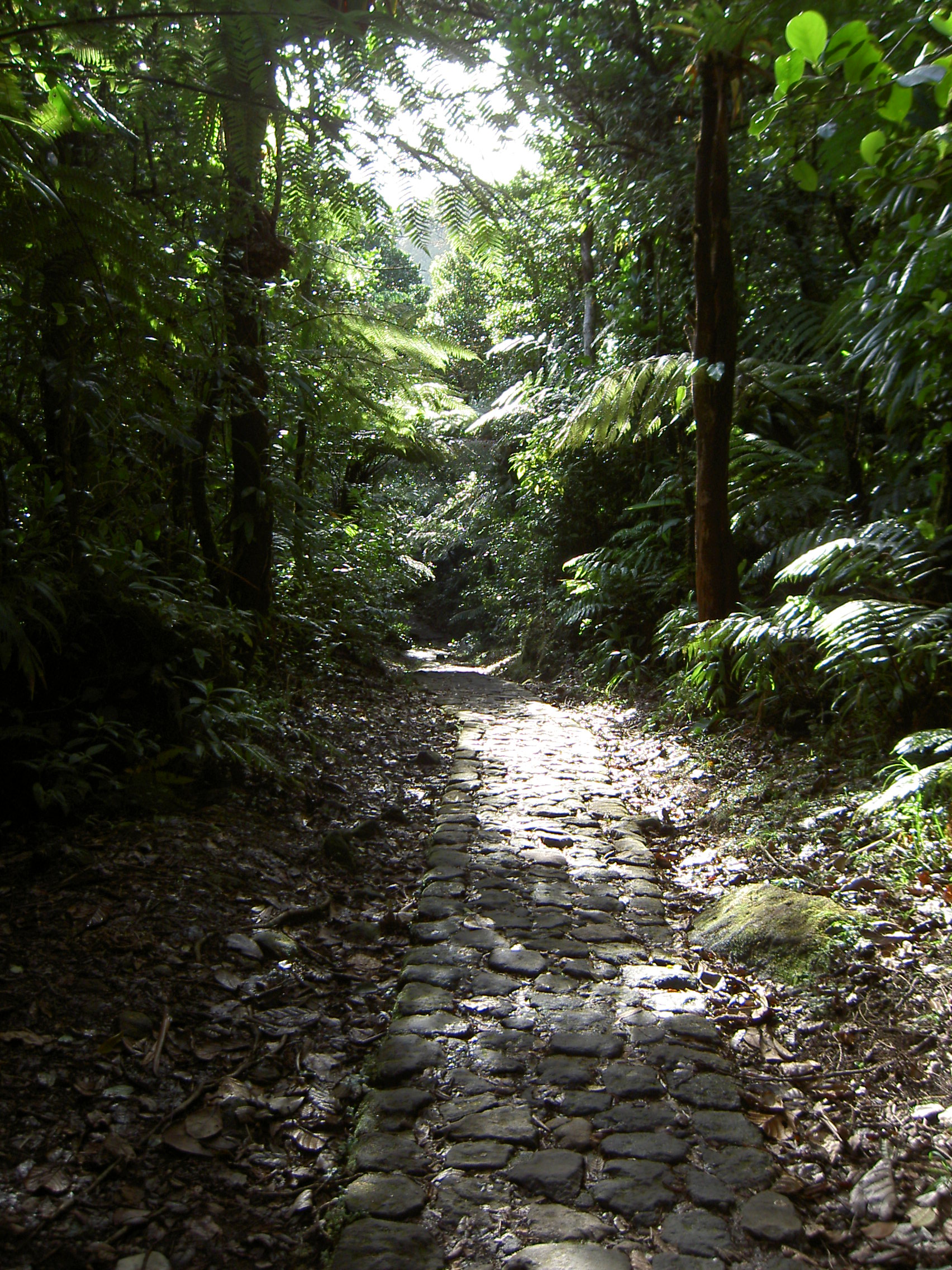Basse-Terre
