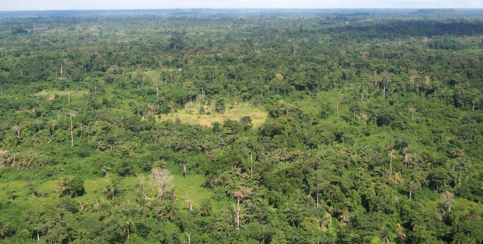 Nimba