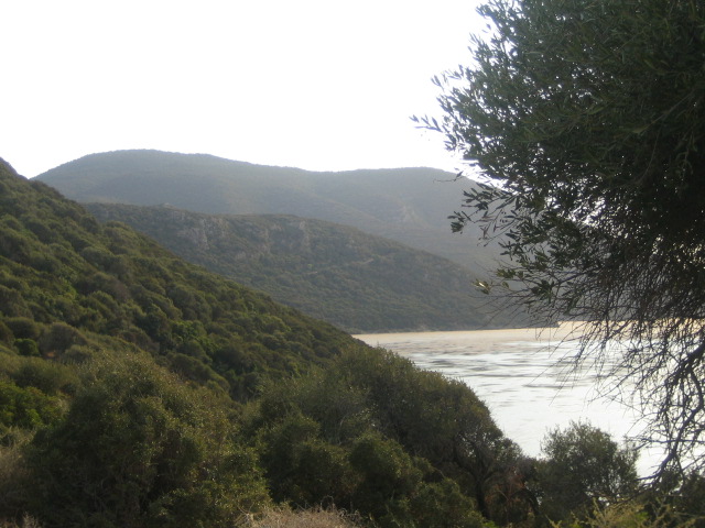 Beja