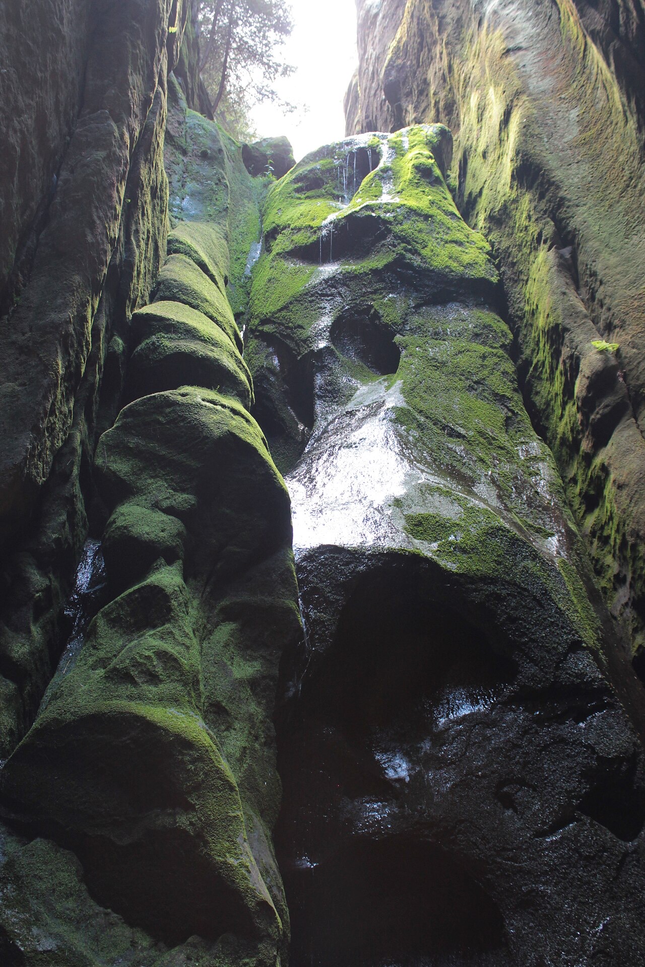 Adršpach–Teplice Rocks