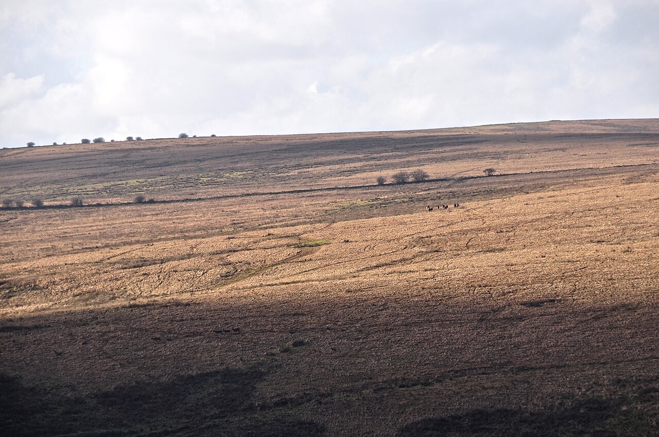 Exmoor
