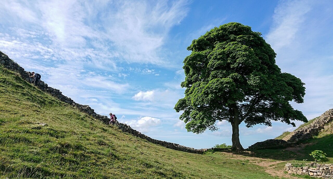 Hadrian’s Wall path