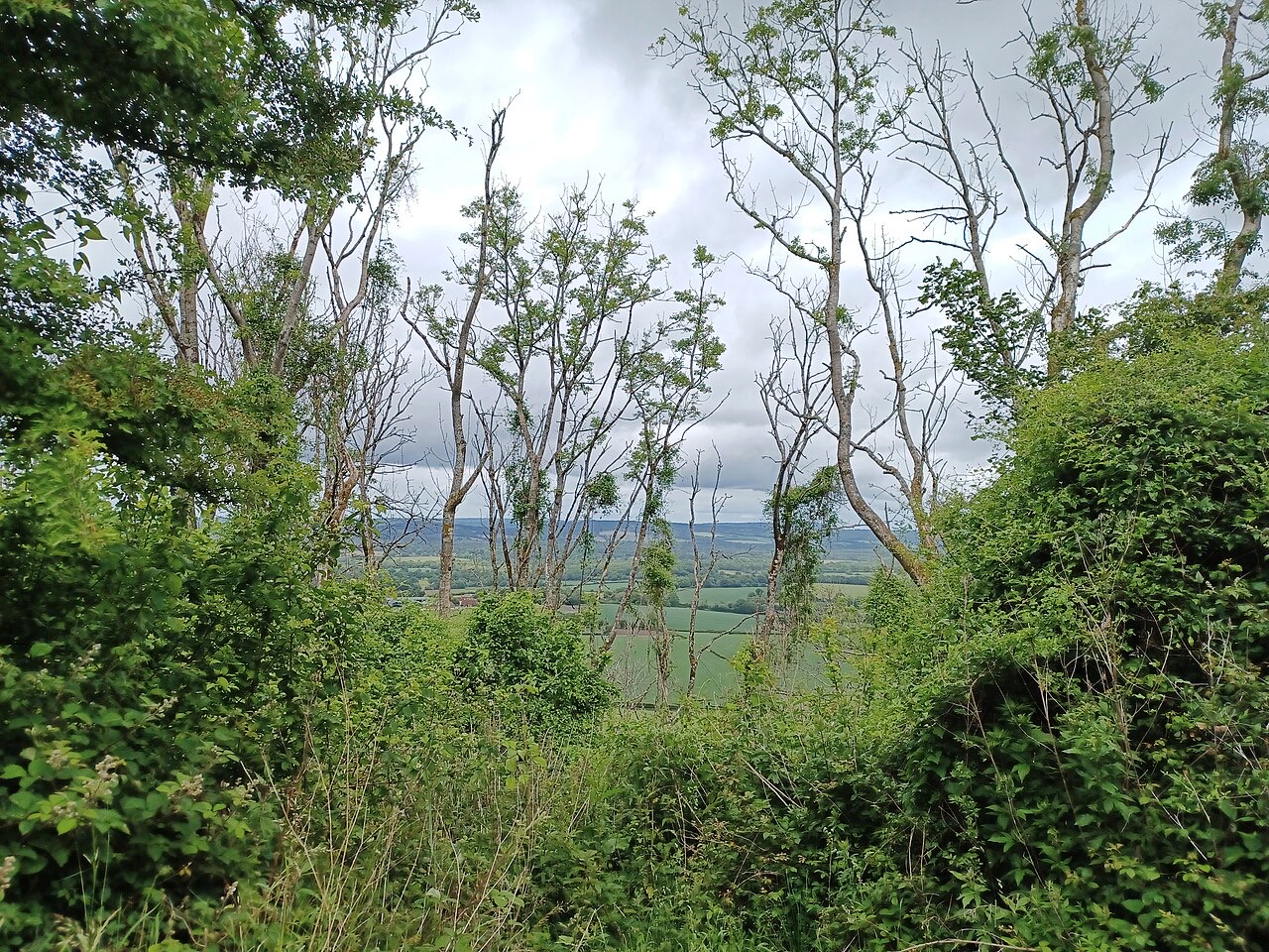 South Downs