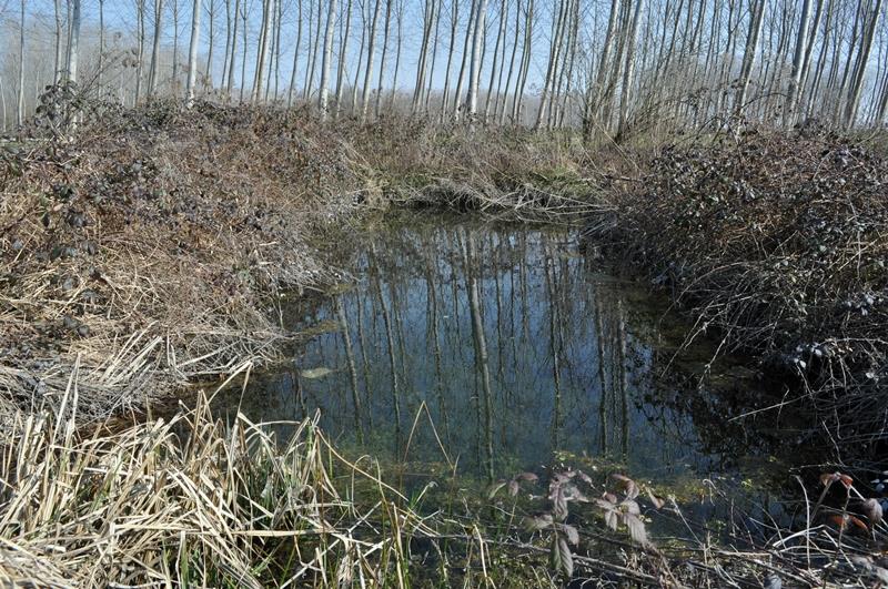 Sentiero dei Fiori