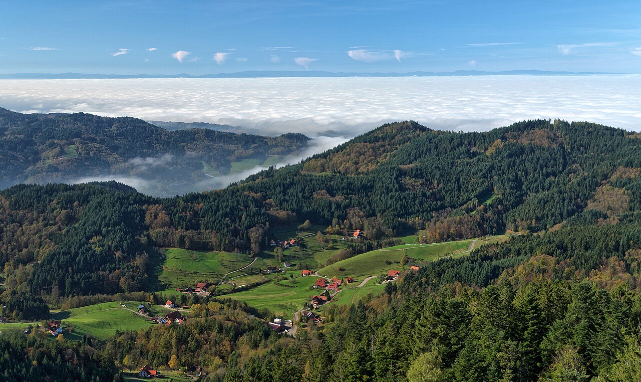 Black Forest (Triberg area)