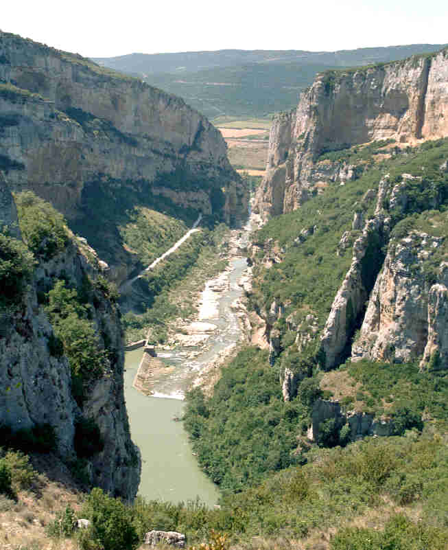 Irati Forest