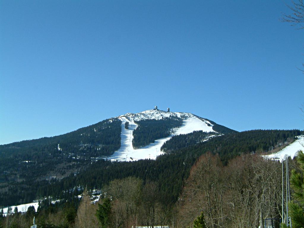Šumava / Bohemian Forest