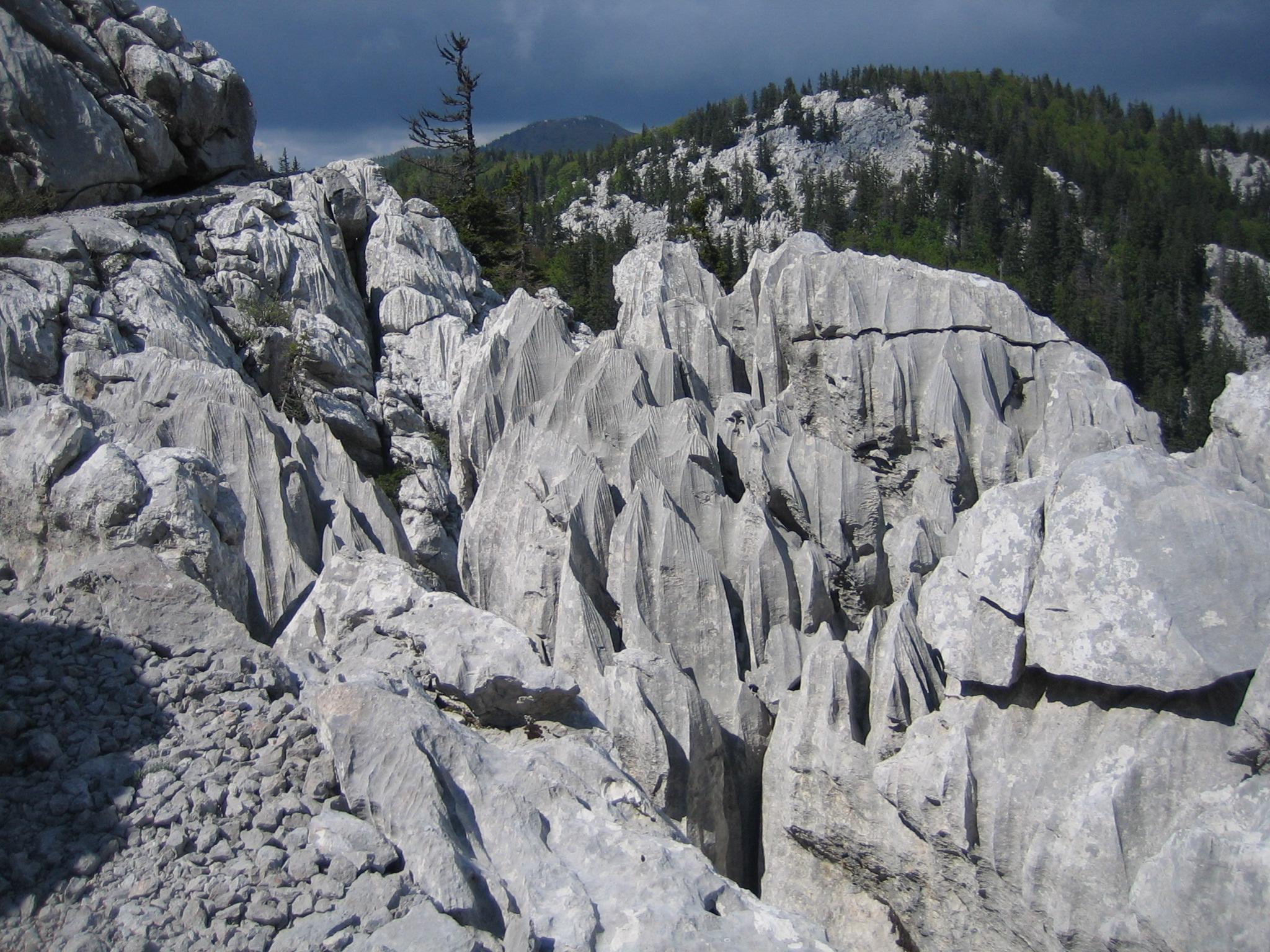 Velebit / Paklenica forests