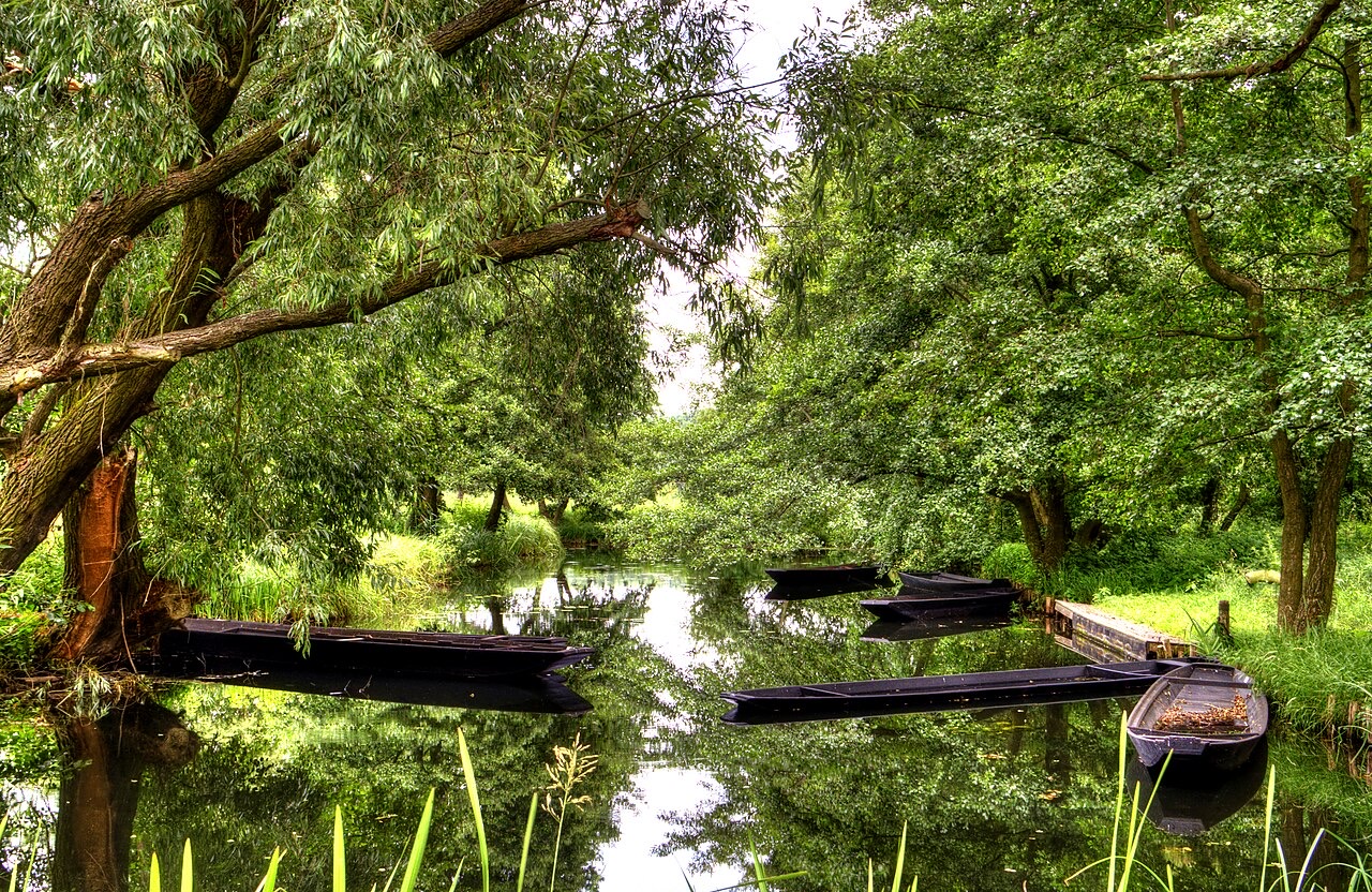 Spreewald