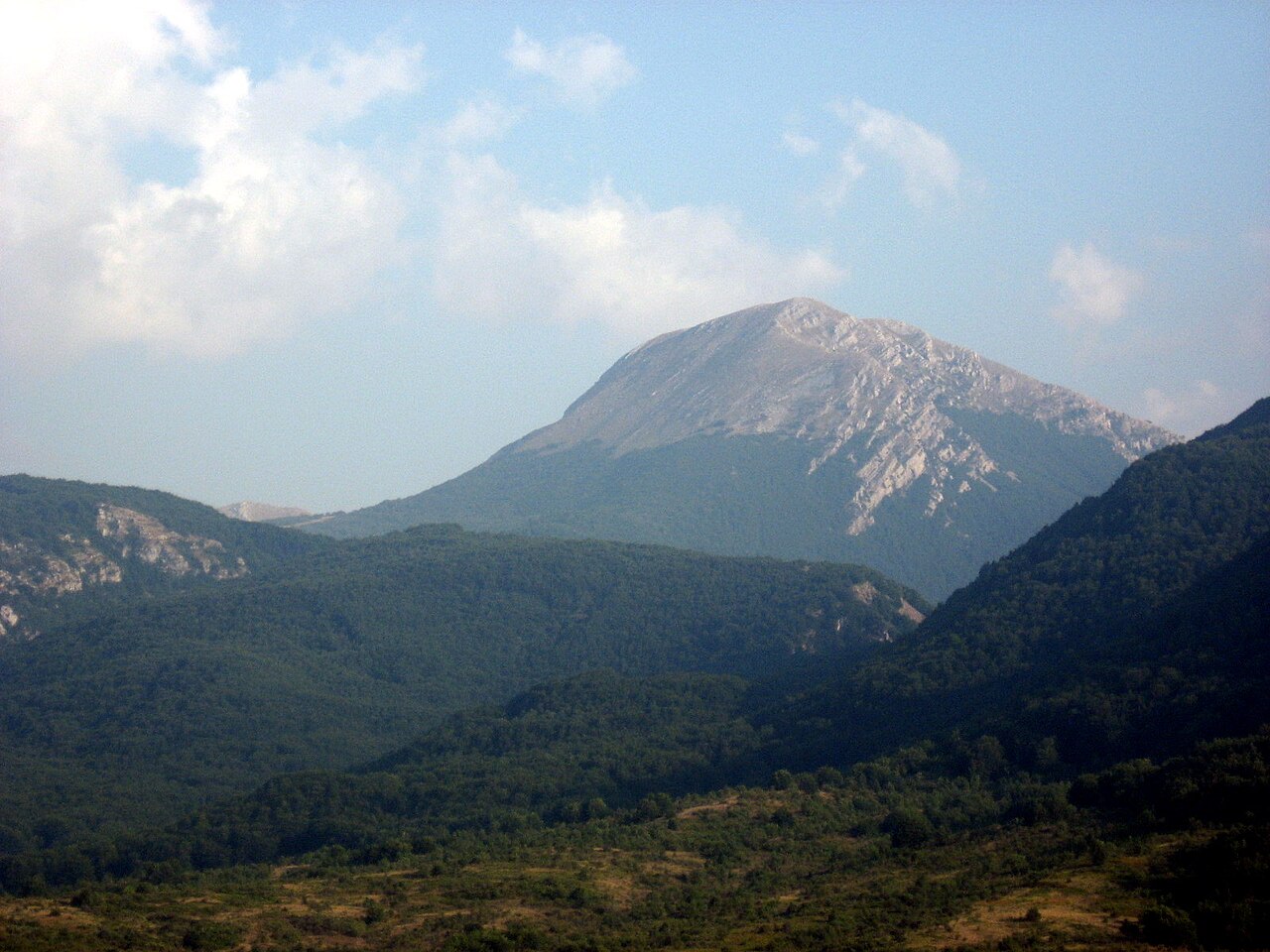 Pollino