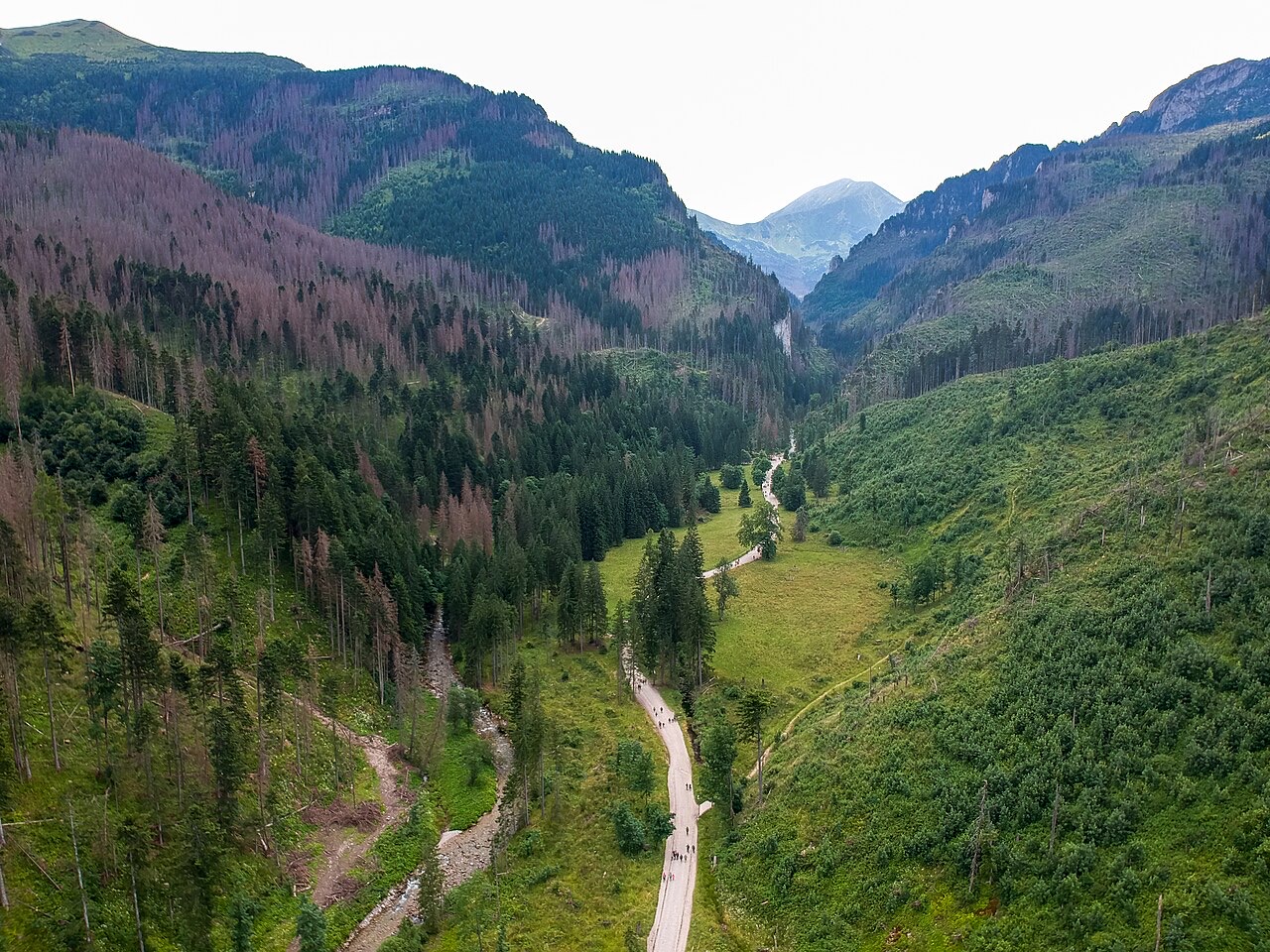 Kościeliska Valley
