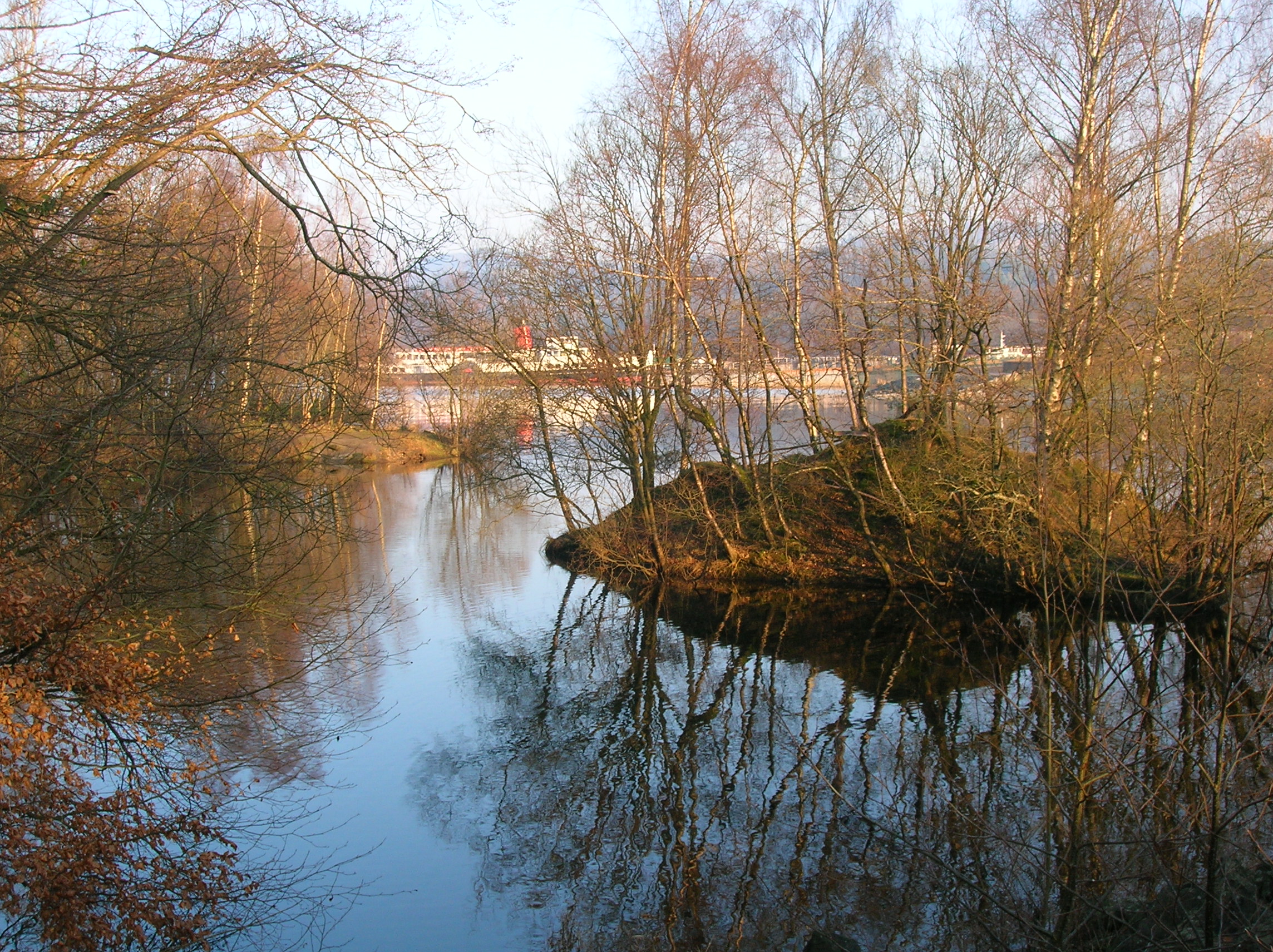 Balloch Castle Country Park woods