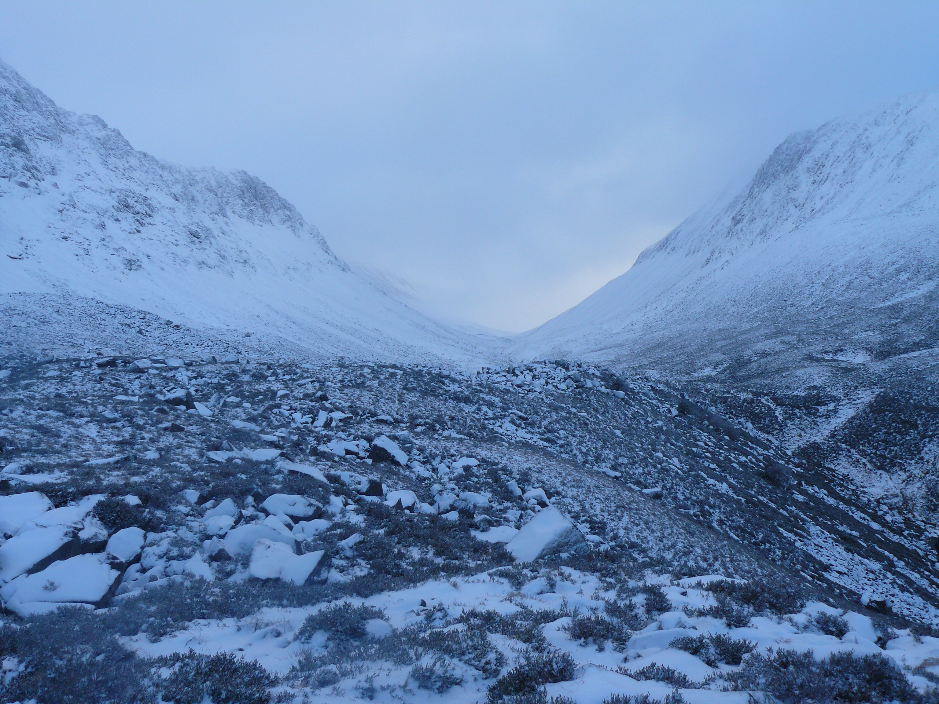 Rothiemurchus / Caledonian forest