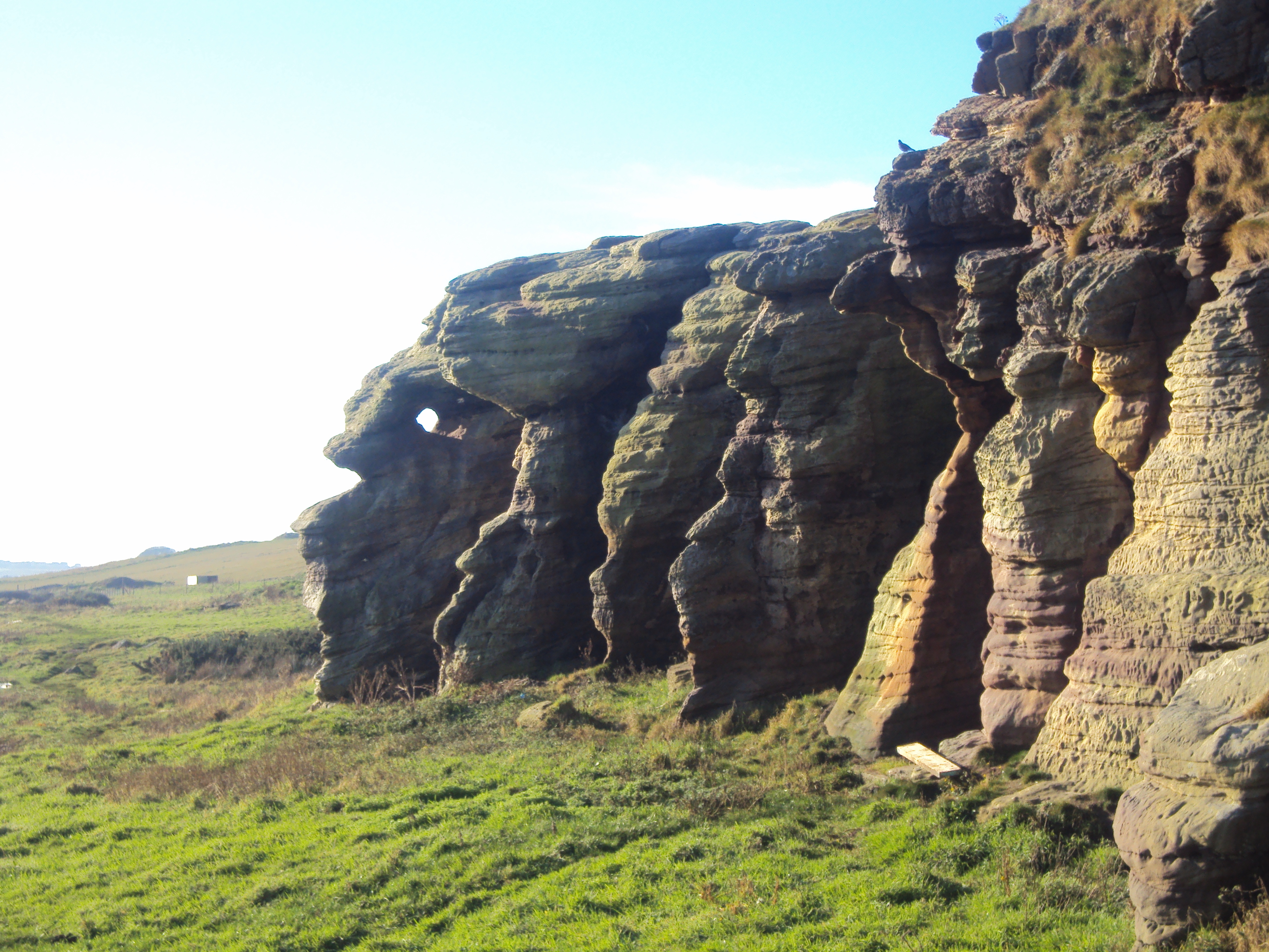 Fife Coastal Path (St Andrews)