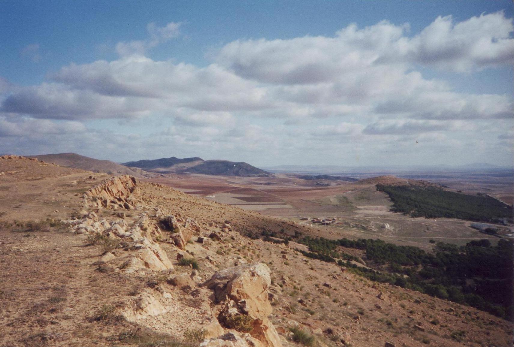 el bayadh