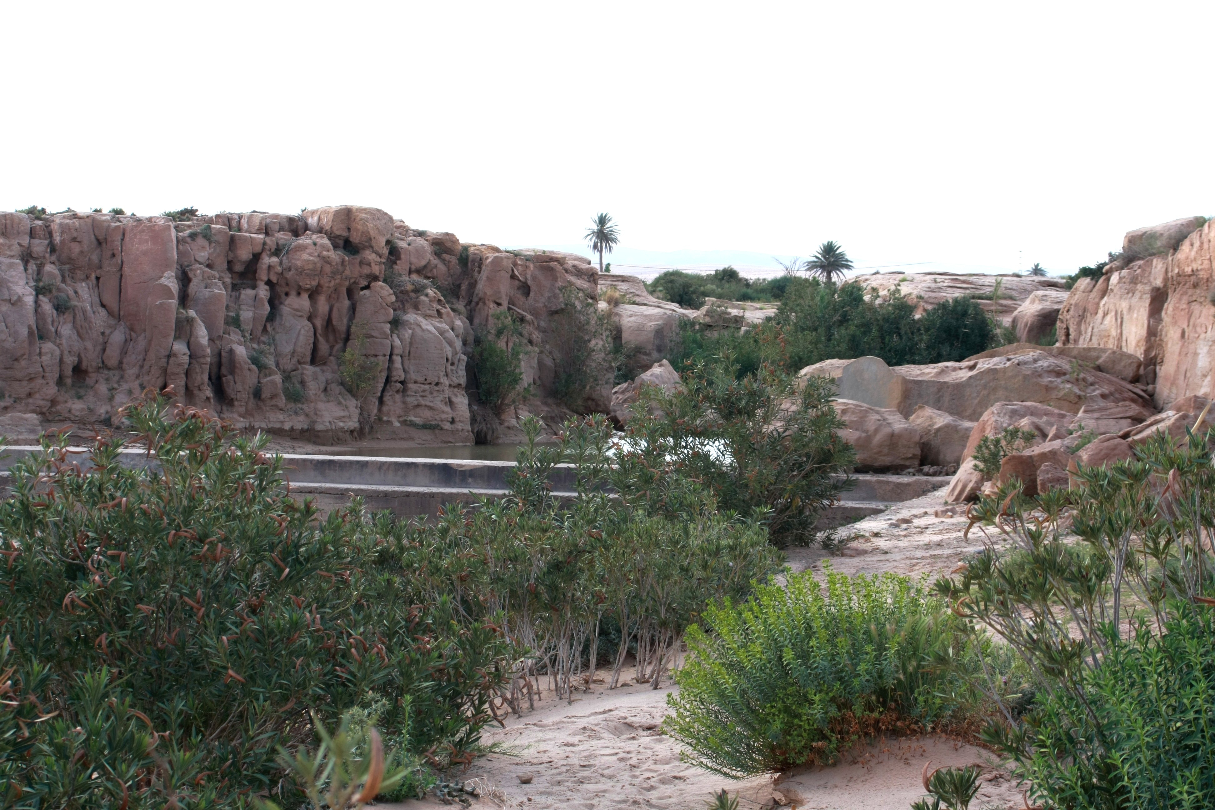 laghouat