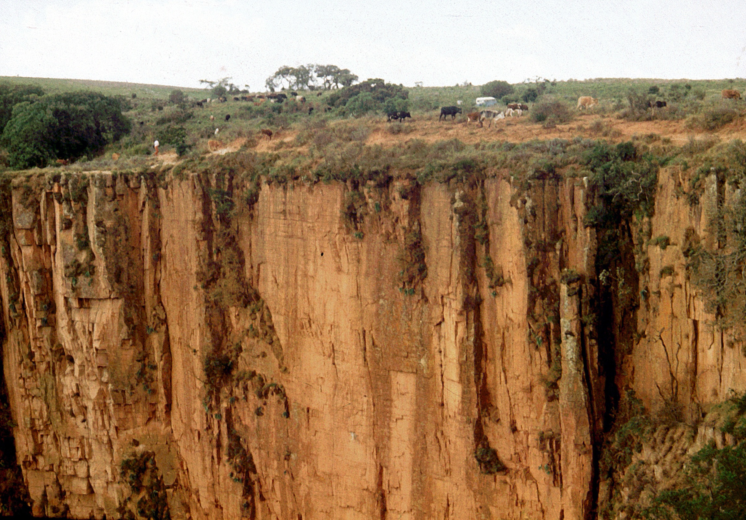 huila