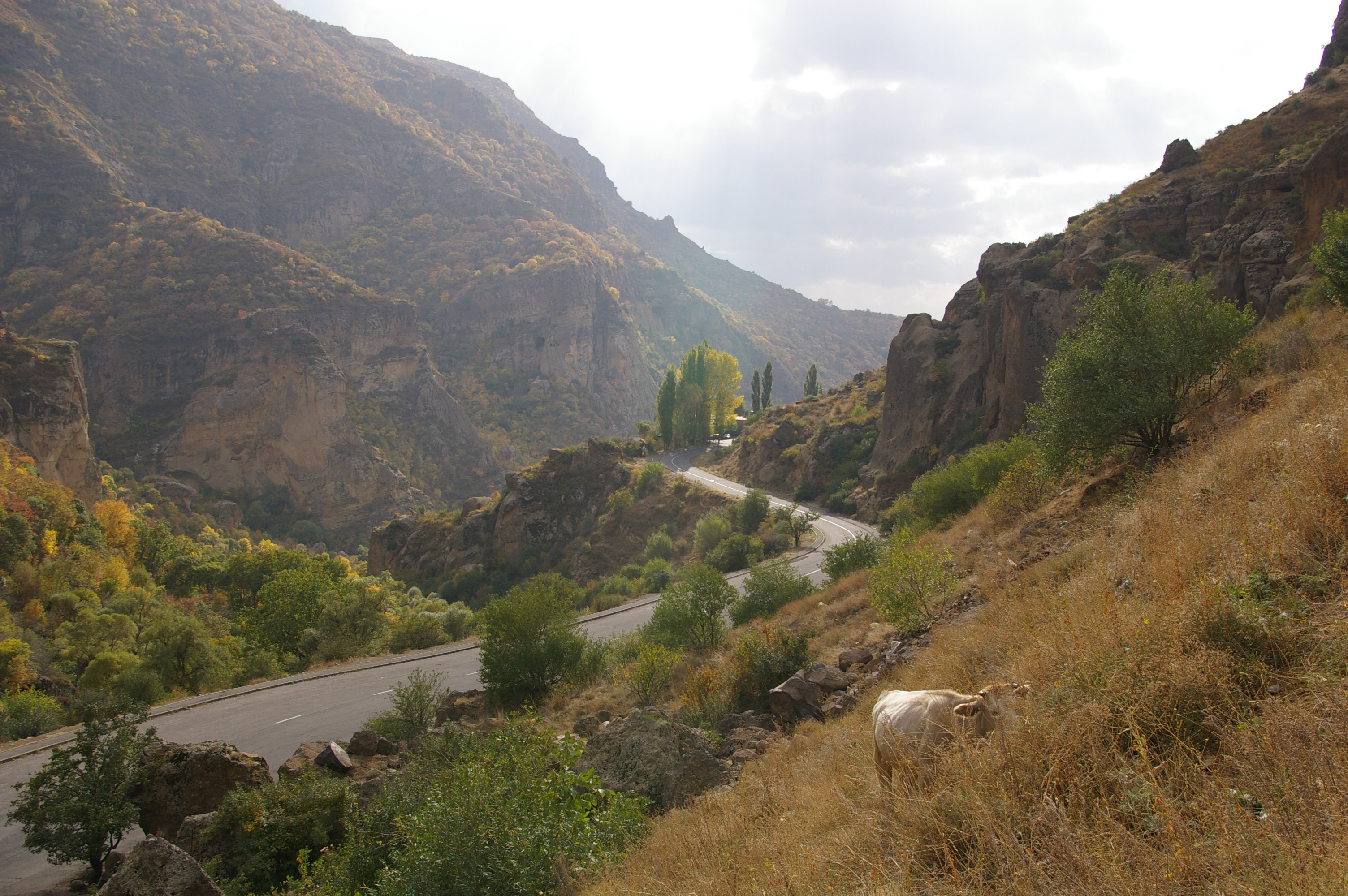 kotayk