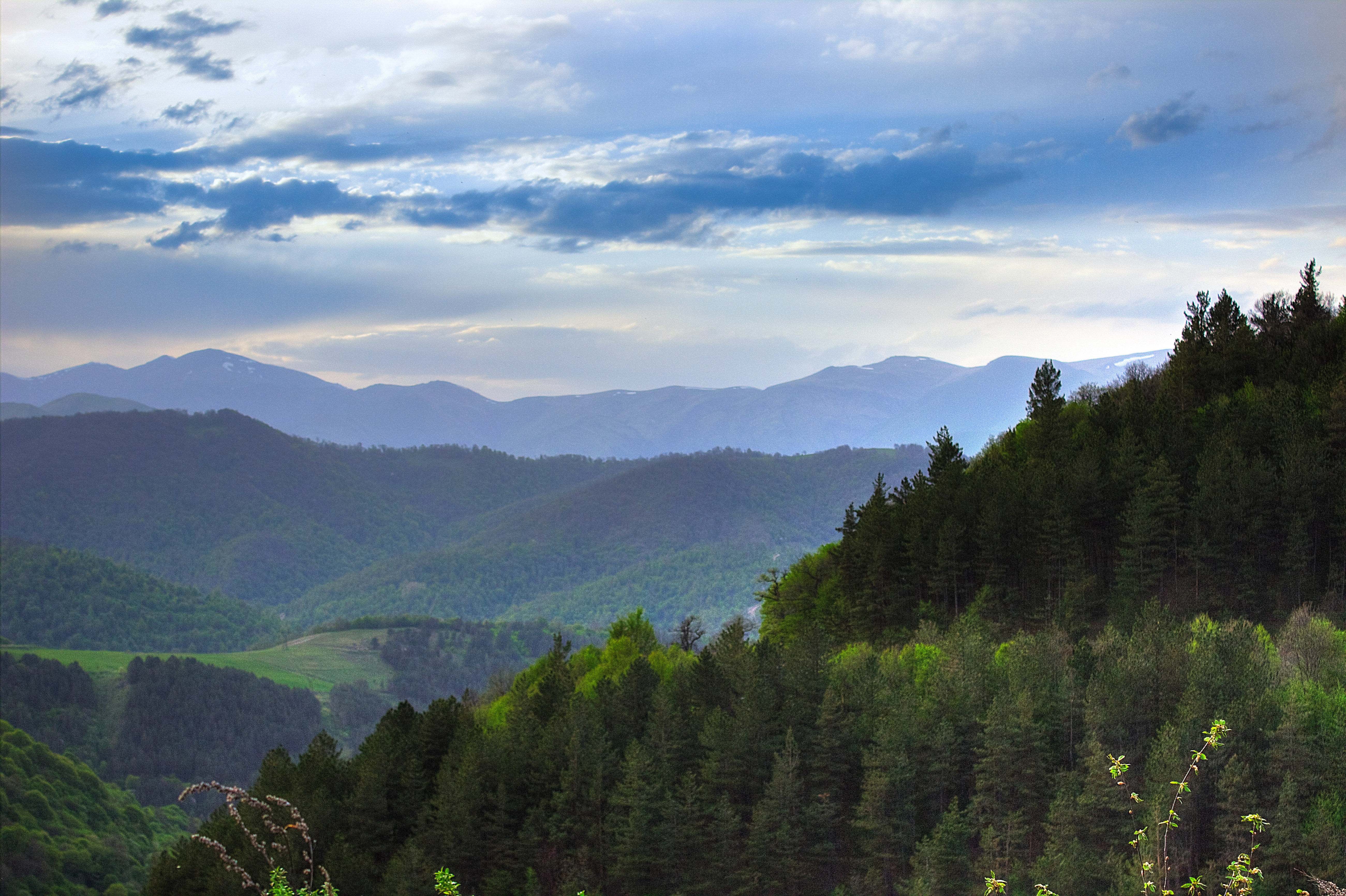 tavush