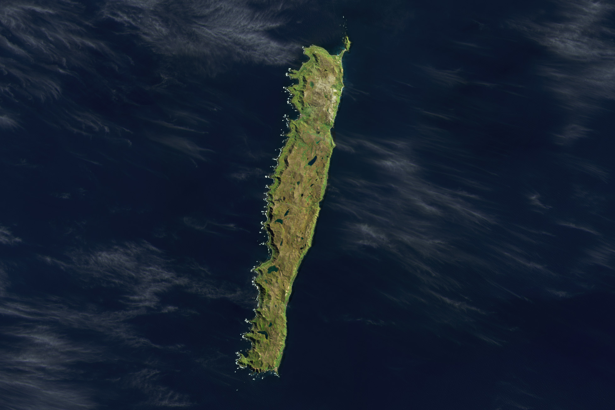 macquarie island