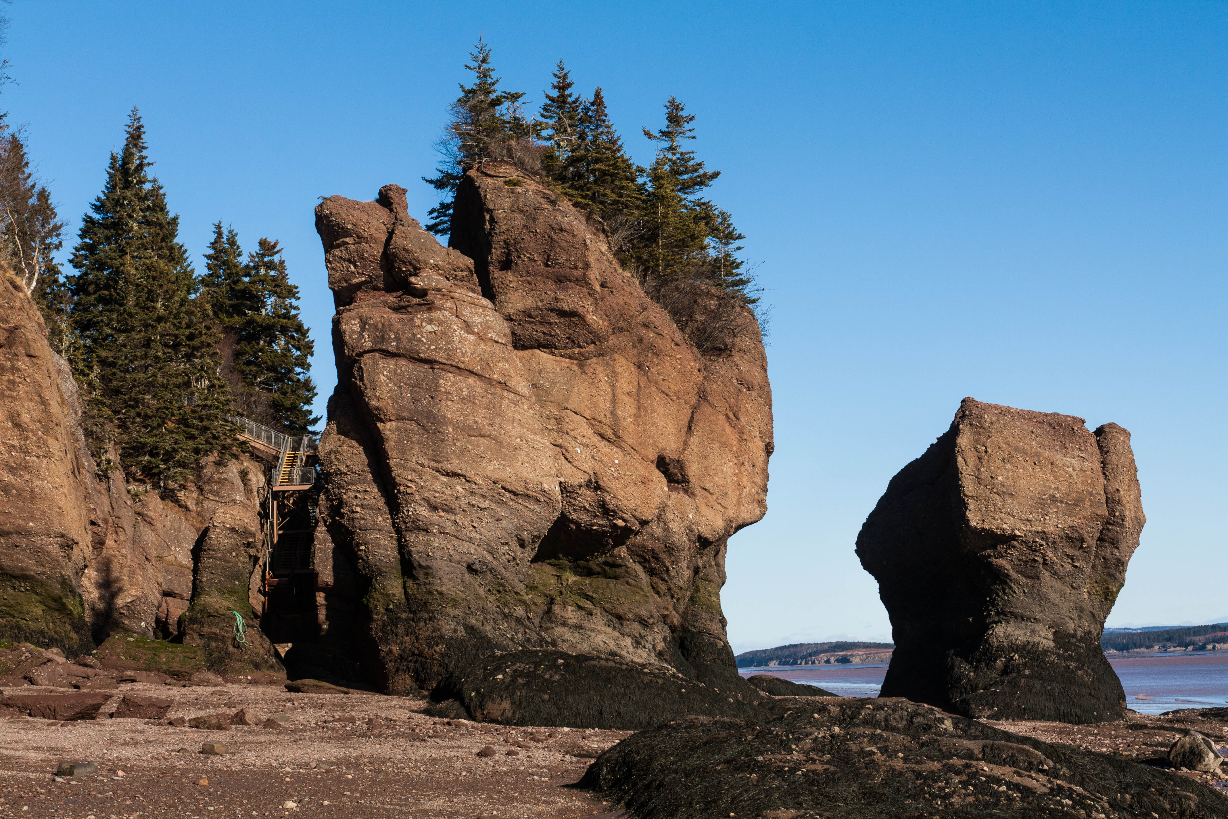new brunswick