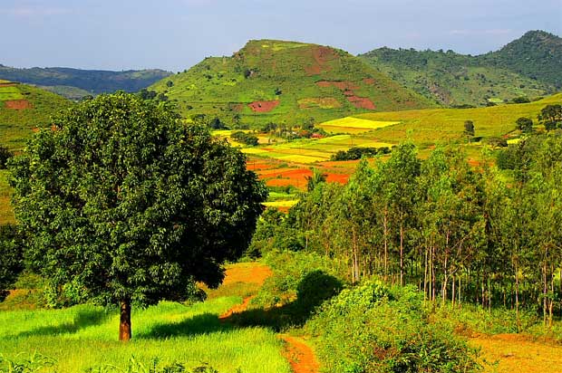 andhra pradesh