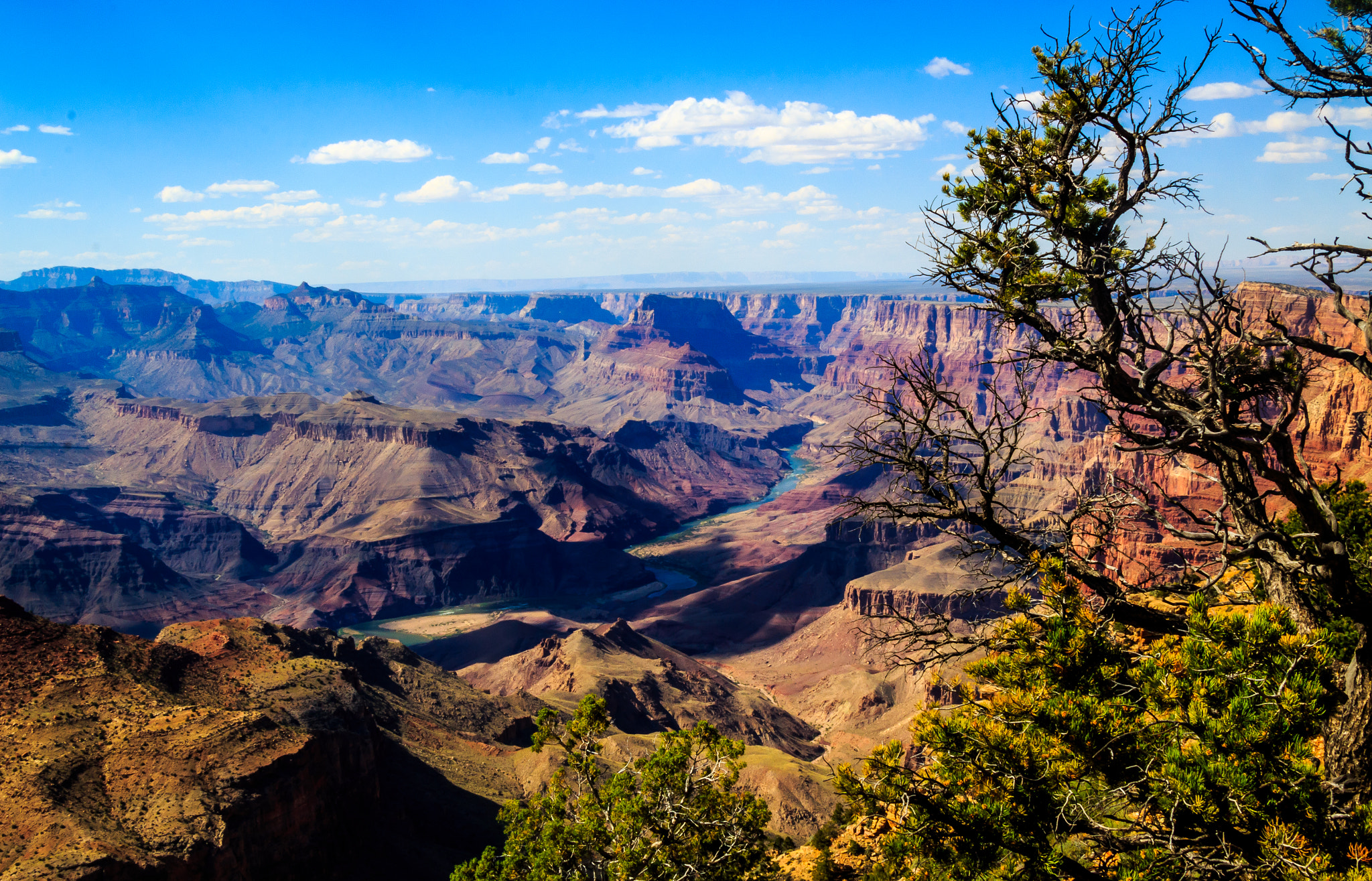 arizona
